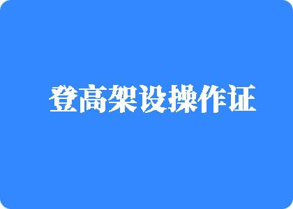 逼逼操逼逼逼逼逼登高架设操作证